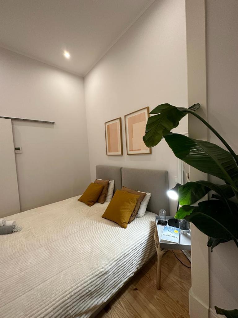Apartamento Agradavel No Centro Historico De Apartamento
