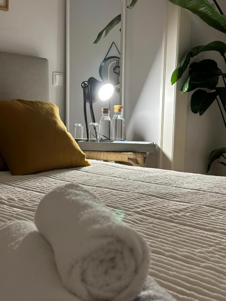 Apartamento Apartamento Agradavel No Centro Historico De